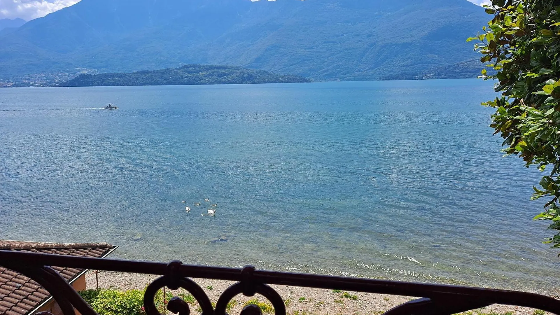 Immobillario - Regina Del Lago Domaso 0*,  Italien